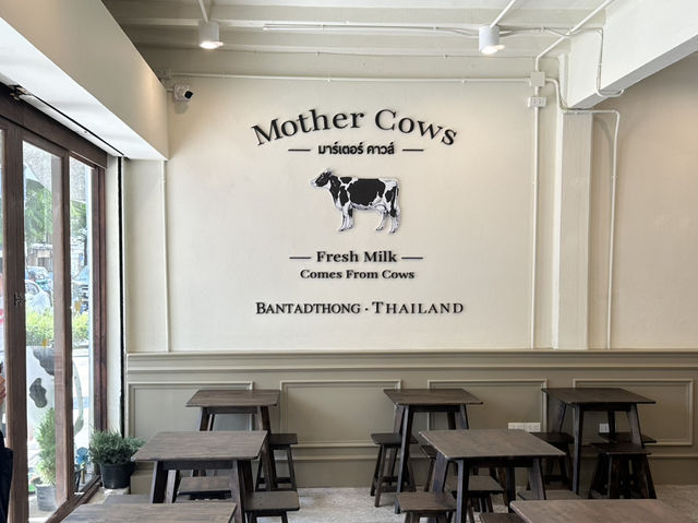 Mother Cows มาร์เตอร์คาวส์ บรรทัดทอง