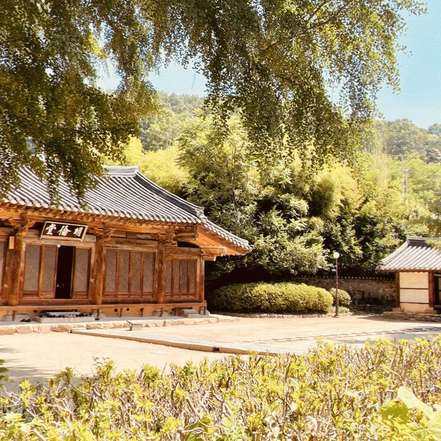 Jeonju Hyanggyo: A Serene Stroll Among Ginkgo Trees