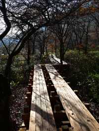 【群馬】紅葉の山々を満喫できる『赤城山』