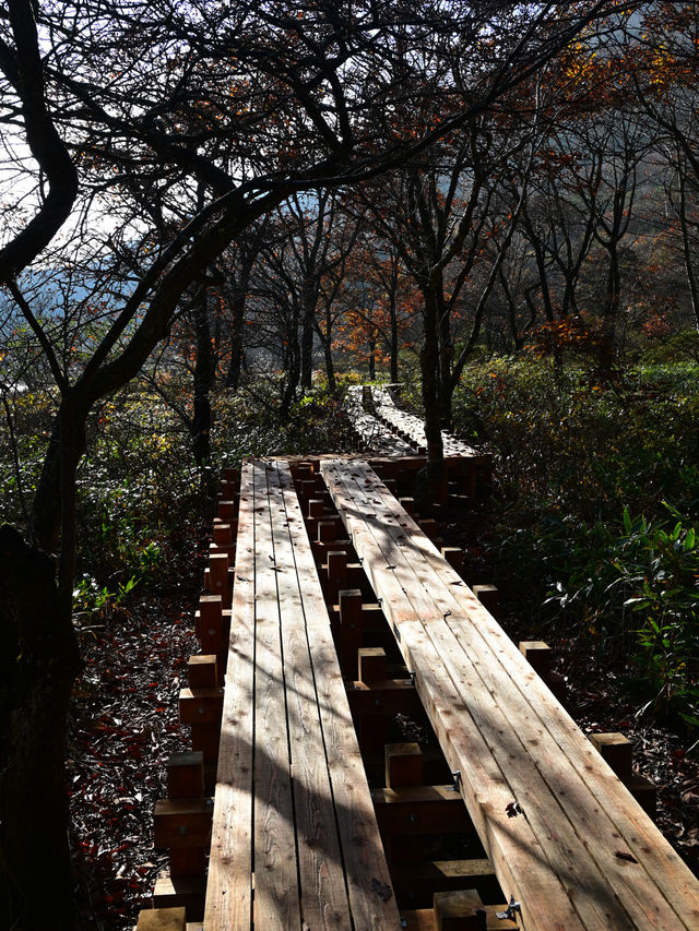 【群馬】紅葉の山々を満喫できる『赤城山』