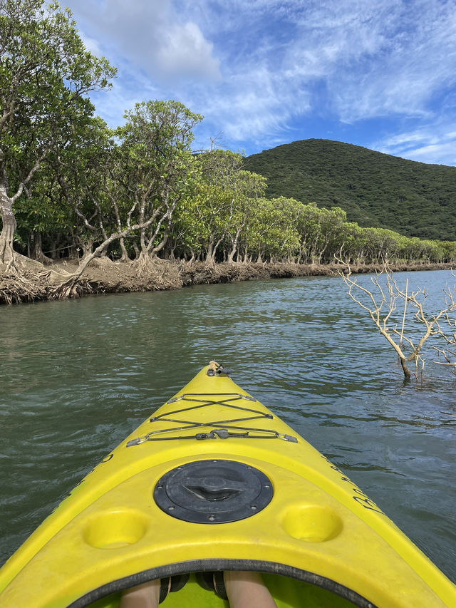 奄美大島　マングローブでカヤック体験！🛶