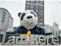 Chengdu : Panda Lover's Paradise