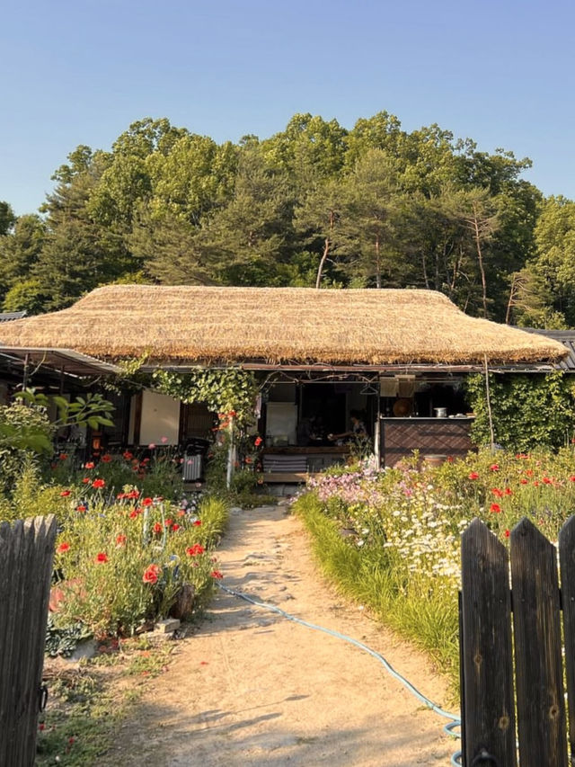 도시에서 벗어나 평화롭게 🏝️ 자연힐링하실 수 있는 😌촌캉스 여행지 추천 