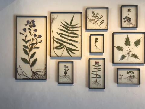 神奈川県・川崎市】special source atelier galleryでモリソン小林の