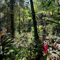 Mystical Goa Gajah: A Journey into Bali’s Ancient Past