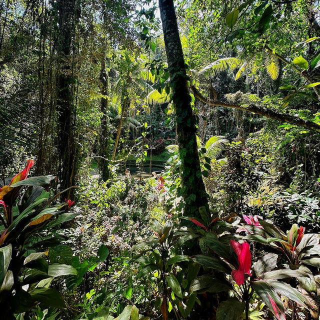 Mystical Goa Gajah: A Journey into Bali’s Ancient Past