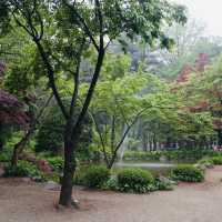 Romance & Scenic Charm: My Magical Day at Nami Island!