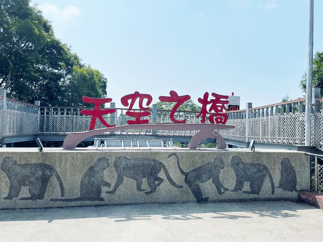 南投猴探井天空之橋 ✨ 高空中的迷人步道 