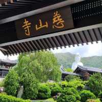 Tsz Shan Monastery: A Serene Retreat in Hong Kong