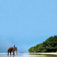  Unraveling the Emerald Isle: A Blissful Havelock Island Getaway