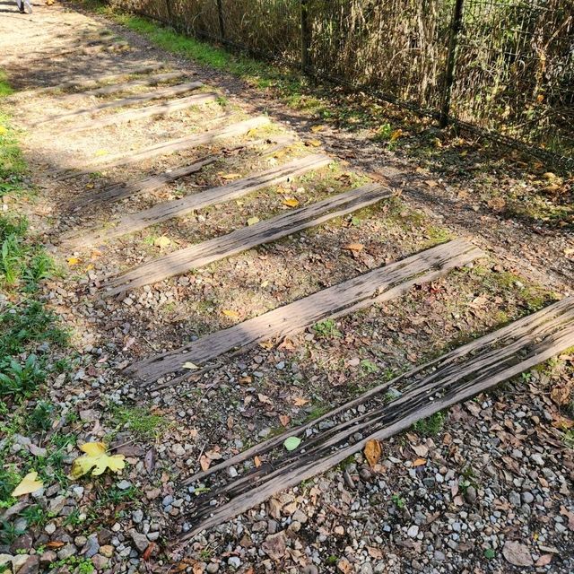廃線敷と自然を満喫