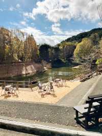 【静岡県/伊豆　紅葉🍁を眺めながら楽しめるキャンプ施設】