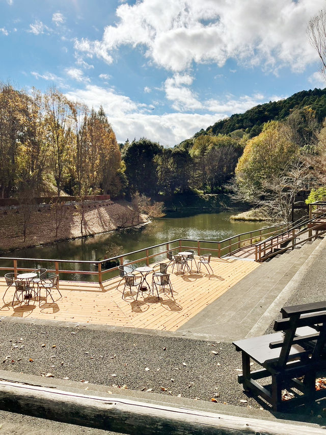 【静岡県/伊豆　紅葉🍁を眺めながら楽しめるキャンプ施設】