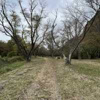 【屏風岩公苑】　曽爾高原