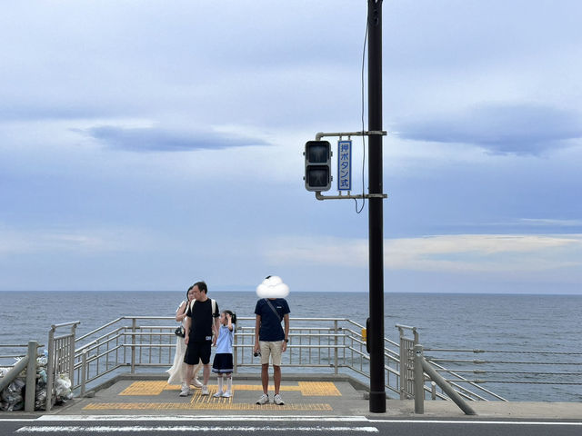 🇯🇵東京近郊鎌倉一日遊🌊 看到富士山的漂亮海岸