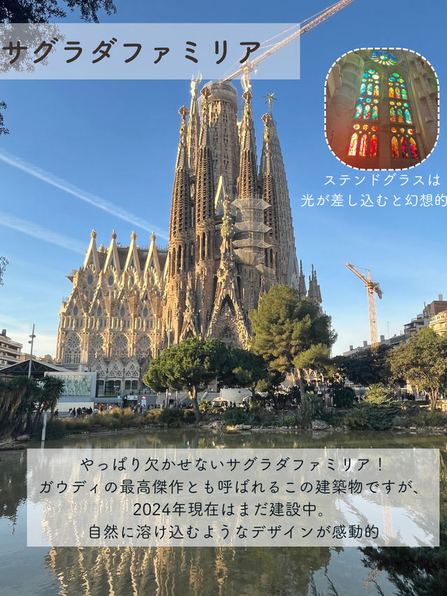 【スペイン】バルセロナで感動したSPOT7選