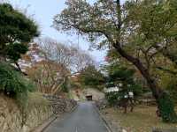 松島観光　観瀾亭