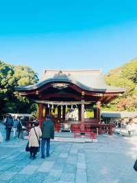 【神奈川県/鎌倉　生命力を感じる”大銀杏”の紅葉が美しい『鶴岡八幡宮』】