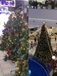 크리스마스 트리를 볼 수 있는 부산 여행지!🎄