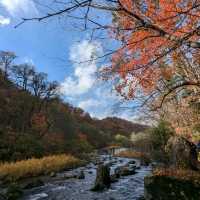 奧入瀨溪流的賞楓秘境：蔦川砂防公園