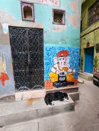 【バラナシ】迷路のような旧市街地でwall art散策🎨