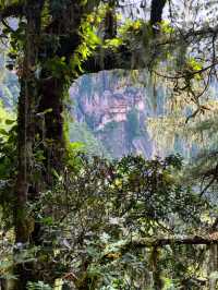 🐅Tigers Nest Monastery: Bhutan’s Cliffside Marvel