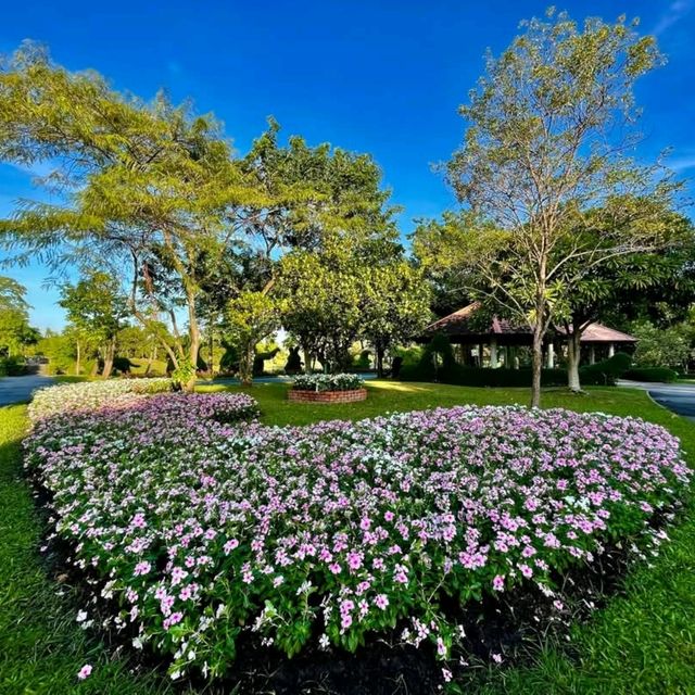 พรรณไม้งามอร่าม ณ สวนหลวง ร.๙