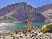 Golden Trout Wilderness: A Hidden Gem for Outdoor Adventure