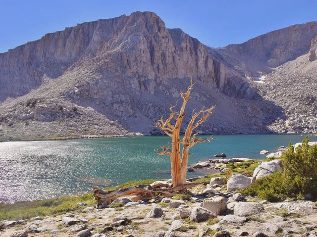 Golden Trout Wilderness: A Hidden Gem for Outdoor Adventure