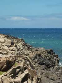 Kapalua Coastal Trail: A Stroll Through Maui’s Paradise