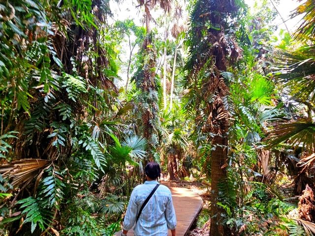 ป่าคำชะโนด: สถานที่ศักดิ์สิทธิ์แห่งตำนานพญานาค