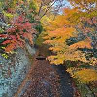 有馬溫泉風雅地標〔ねね橋〕