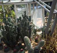 深圳仙湖植物公園