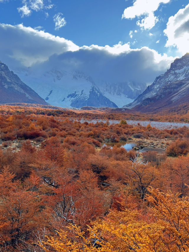 เดิน Hiking กับเส้นทาง Laguna Torre Patagonia 