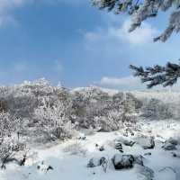 Winter Wonderland: Hiking Hallasan in Jeju’s Snowy Embrace