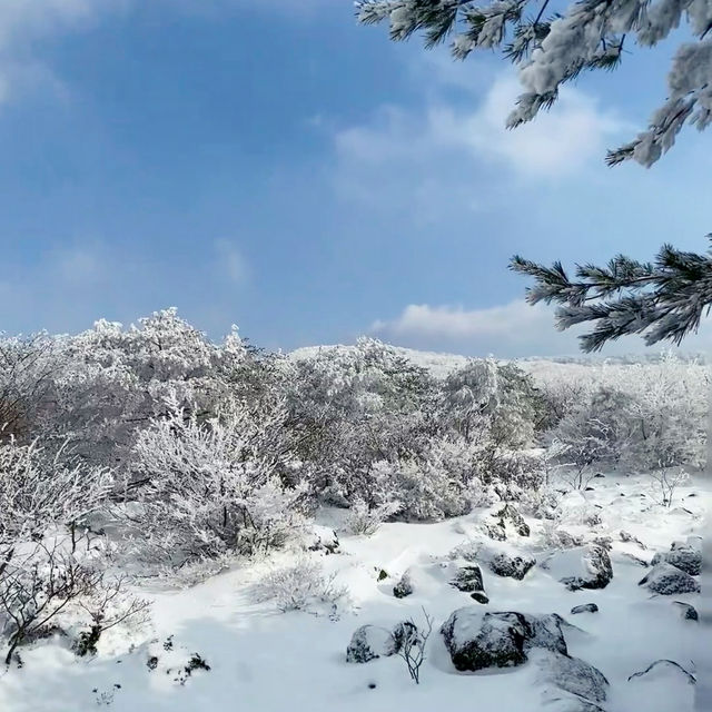 Winter Wonderland: Hiking Hallasan in Jeju’s Snowy Embrace
