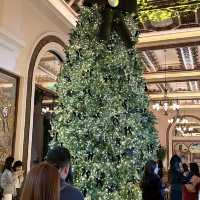 🎏香港尖沙咀半島酒店🎄超靚 Chanel聖誕樹打卡