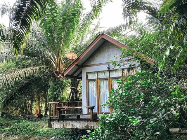 บ้านไร่ชายเขาฟาร์มสเตย์ นครศรีธรรมราช