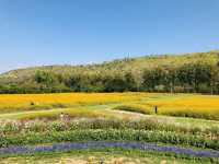 Jim Thompson Farm
