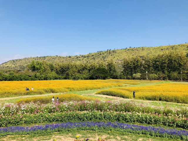 Jim Thompson Farm