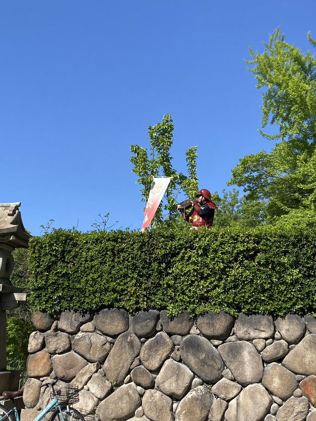 Osaka Castle: A Timeless Fortress in the Heart of the City