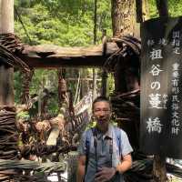日本三大秘境～步步驚魂之《祖谷のかずら橋》