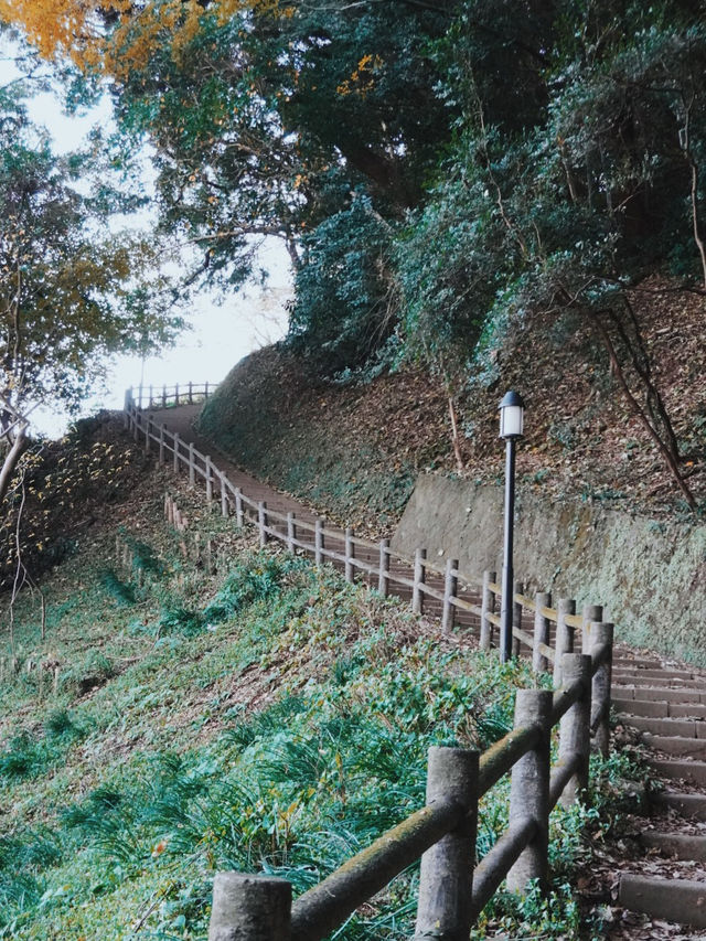 📍靜岡｜在市中心觀看富士山 🗻