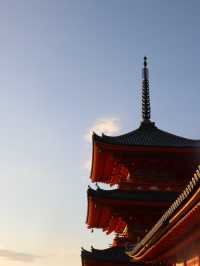 【京都🇯🇵】真っ赤な紅葉を夕暮れ時に