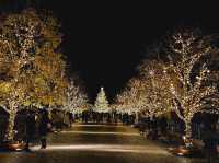 A Christmas illumination at Yebisu Garden