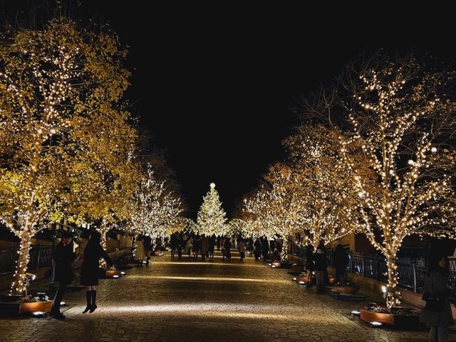 A Christmas illumination at Yebisu Garden