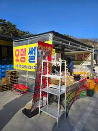 바위포토존 인증샷은 필수인 청송 얼음골❄️
