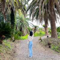 제주도 상가리야자숲 동남아 같은 이국적인 곳 🌴