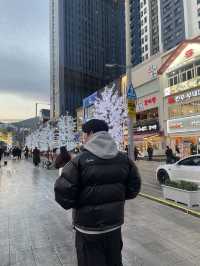 겨울의 해운대 겨울에만 볼 수 있는 해운대빛축제 🎄✨