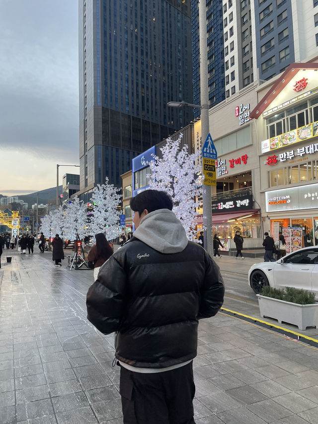 겨울의 해운대 겨울에만 볼 수 있는 해운대빛축제 🎄✨